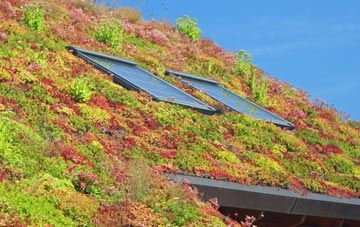 Sherburn In Elmet living roof systems